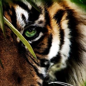 Meet your Posher, Jordan